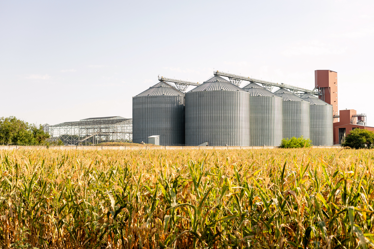 Flexible Packaging Solutions for Various Bag Sizes for Agricultural Products