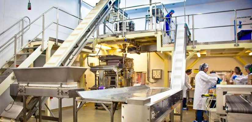 SGL Co-Packing Opts for the Flexibility of Novus VFFS