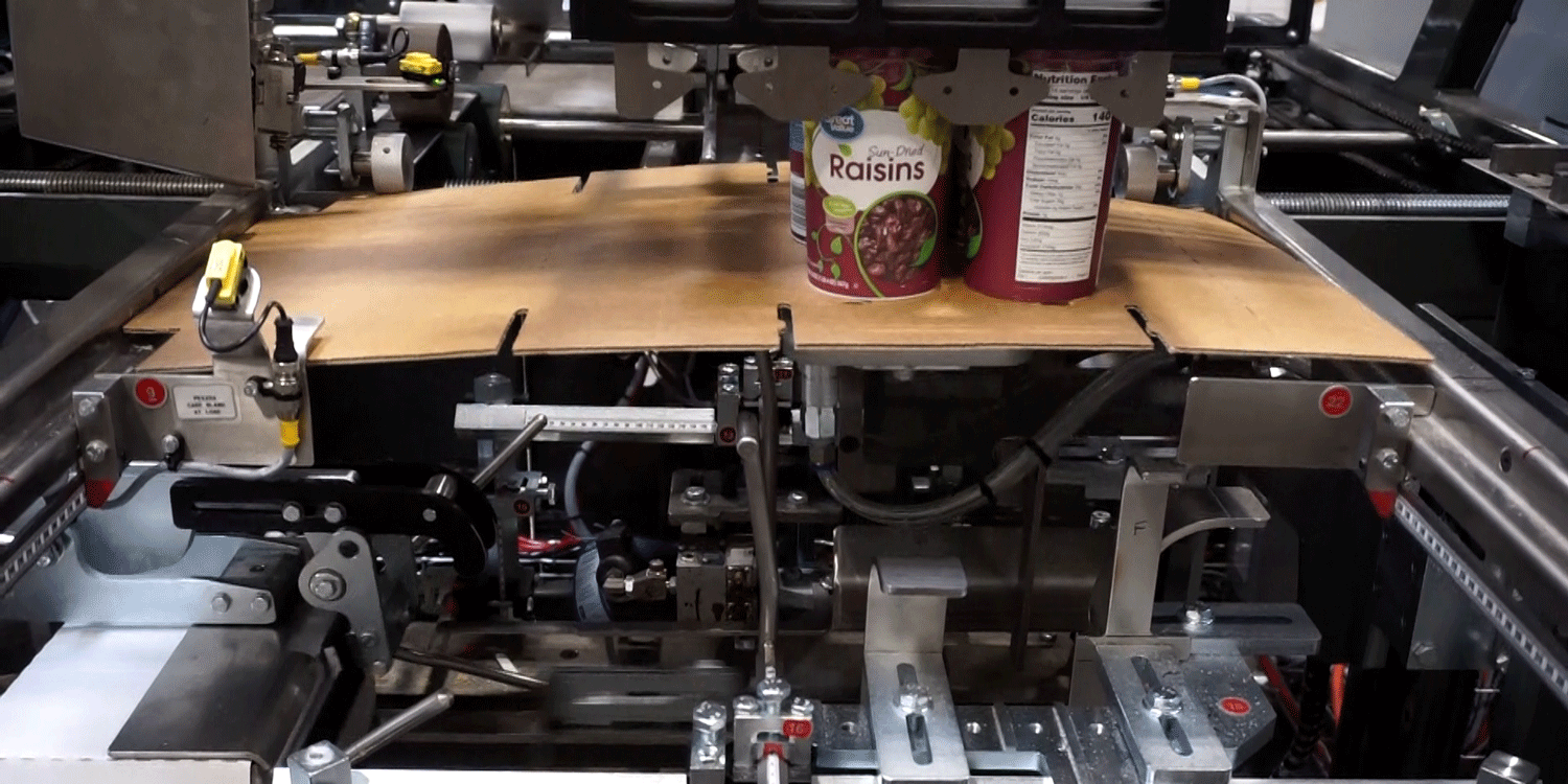 Nigrelli WP 25 WrapAround Case Packer - Snack Food